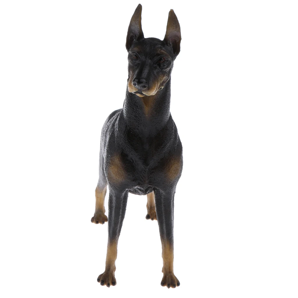 Realistic Doberman Model PVC Farm Animal Model Figurine Action Figures Playset Kids Educational Toy Collectibles