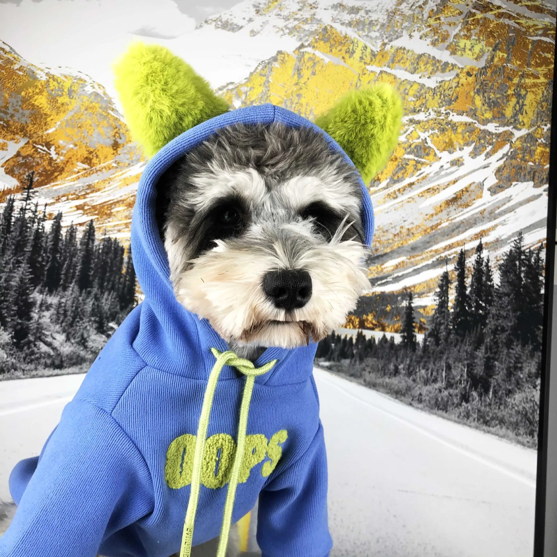 Schnauzer флисовая толстовка с капюшоном для собак, Милая зимняя одежда для собак, теплая верхняя одежда с капюшоном для щенков, флисовый шар для терьера, мопса, Тедди, дропшиппинг