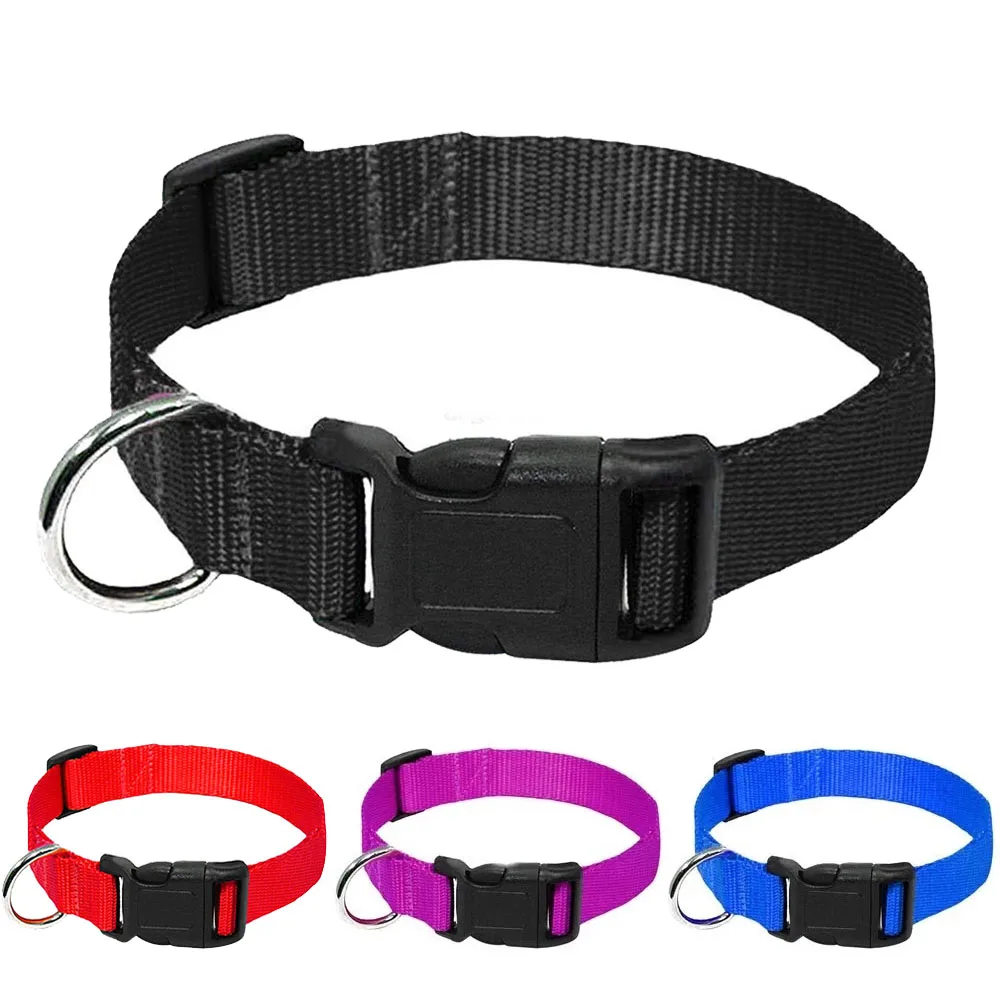 Collares de perro nailon de calidad Gato Collar de perro Collar para mascota ajustable para Chihuahua Bulldog francés Pitbull Labrador productos para mascotas