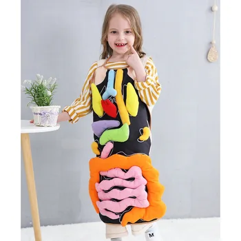 

Educational Insights Toys For Children Anatomy Apron Human Body Organs Awareness Preschool Science Home School Teaching Aids