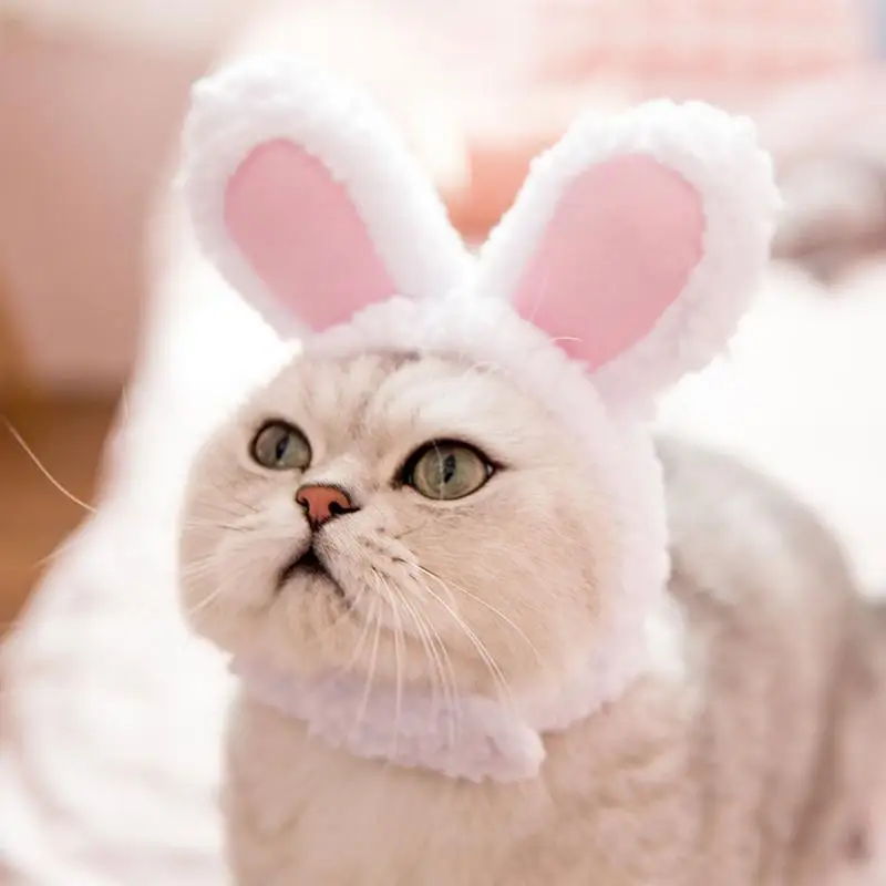 Funny Pet Dog Cat Wig Costume Warm Rabbit Hat For New Year Birthday Party Christmas Cosplay Accessories Props Puppy Headwear6