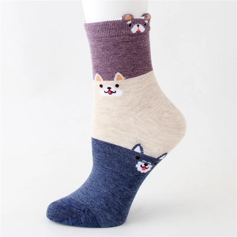 10158691561_81505792