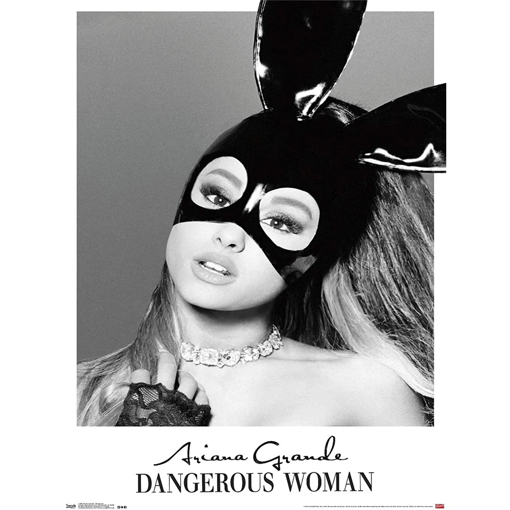 Набор для вышивки крестиком Ariana Grande 11CT набор рукоделия хлопковая нить Печатный
