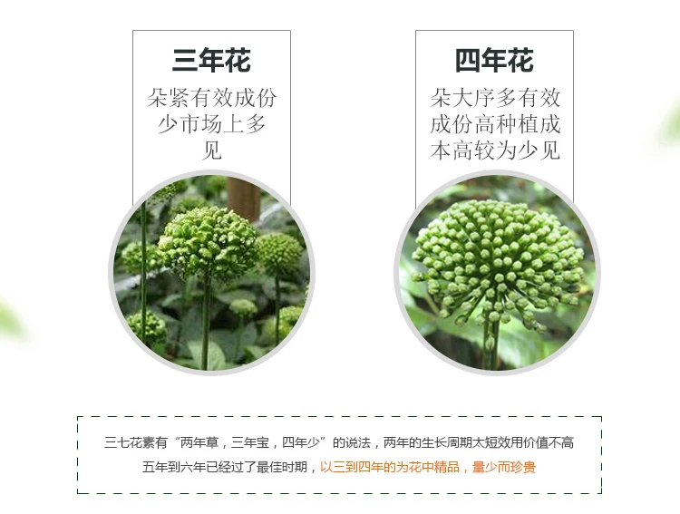 Цветочный чай Panax notoginseng, Юньнань Вэньшань специализированный аутентичный натуральный четырехлетний подлинный Tian Qihua 100 г посылка