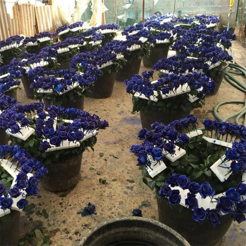 QQ截图20191030142903