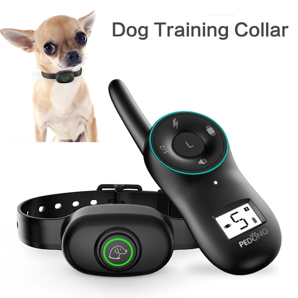 dog training collars