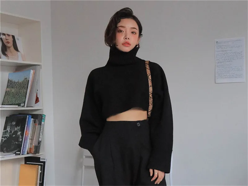RUGOD, корейский стиль, шикарный свободный свитер с высоким воротом, Женский однотонный укороченный топ, мода, Kpop одежда