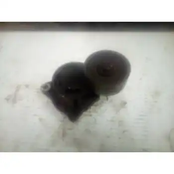 

0802410121 tensioner Auxiliary Belt Renault Master Ii Ph. 2 Doka/pr. Fgst *