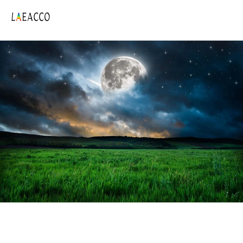 Laeacco облачная луна ночь дикая луга пейзаж фотографии фоны виниловые