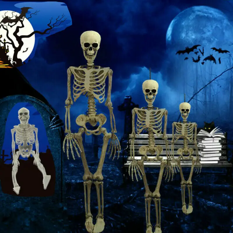 40cm Poseable Full Life Size Human Skeleton Halloween Decoration Party Prop New
