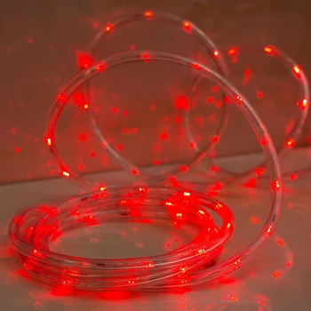 

LED cord 10 mm, round, 10 m, chasing, 2W-LED / m-24-220V, with control 8p, RED 1589829