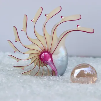 

Free Shipping(1pcs/lot)Rose Nautilus Natural Shell & Conch Home Decoration Aquarium Landscaping Shell Ornaments