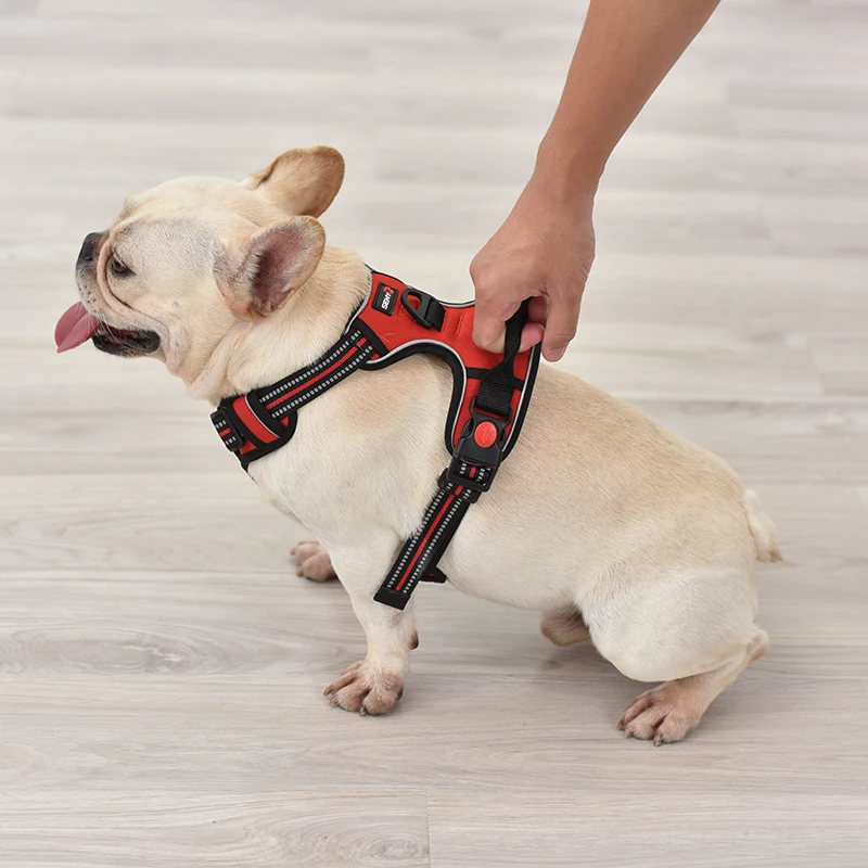 Hd88c87e176cb4f6790f8eff33b62739dK