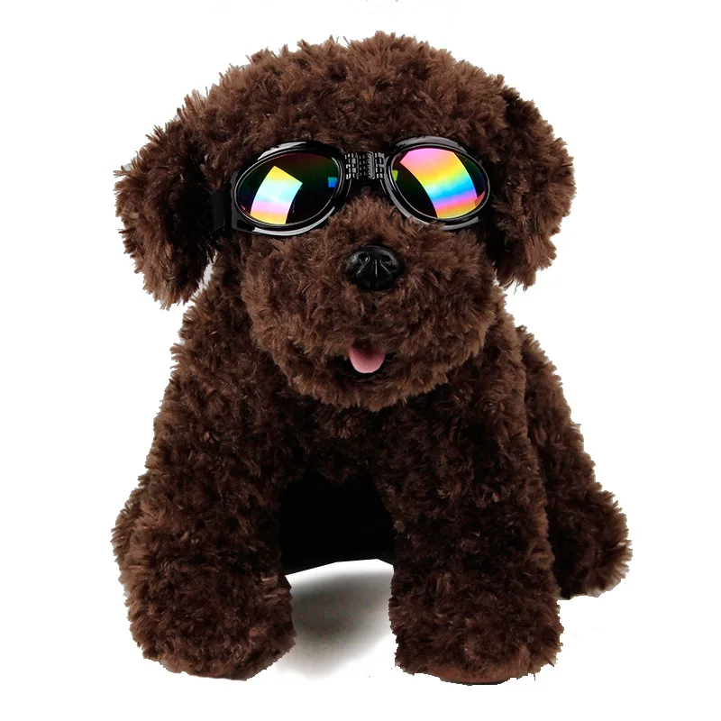 6608628634_181355791