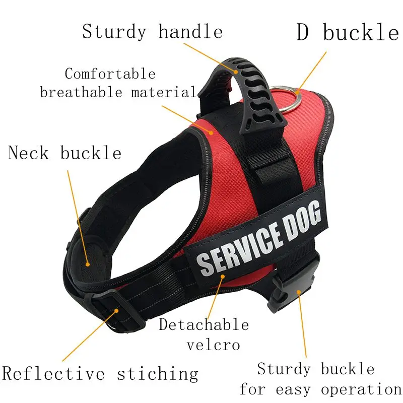 HTB19JbqbeH2gK0jSZFEq6AqMpXaO