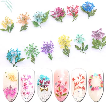 

Mix Dried Flowers Nail Jewelry Set DIY Tips Small Flowers Nails Decorations Stickers Polish Manicure Tools Nail Accessories