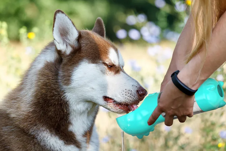 7-H23593da4eb1e4d3c9e0d203af7bc0e43w