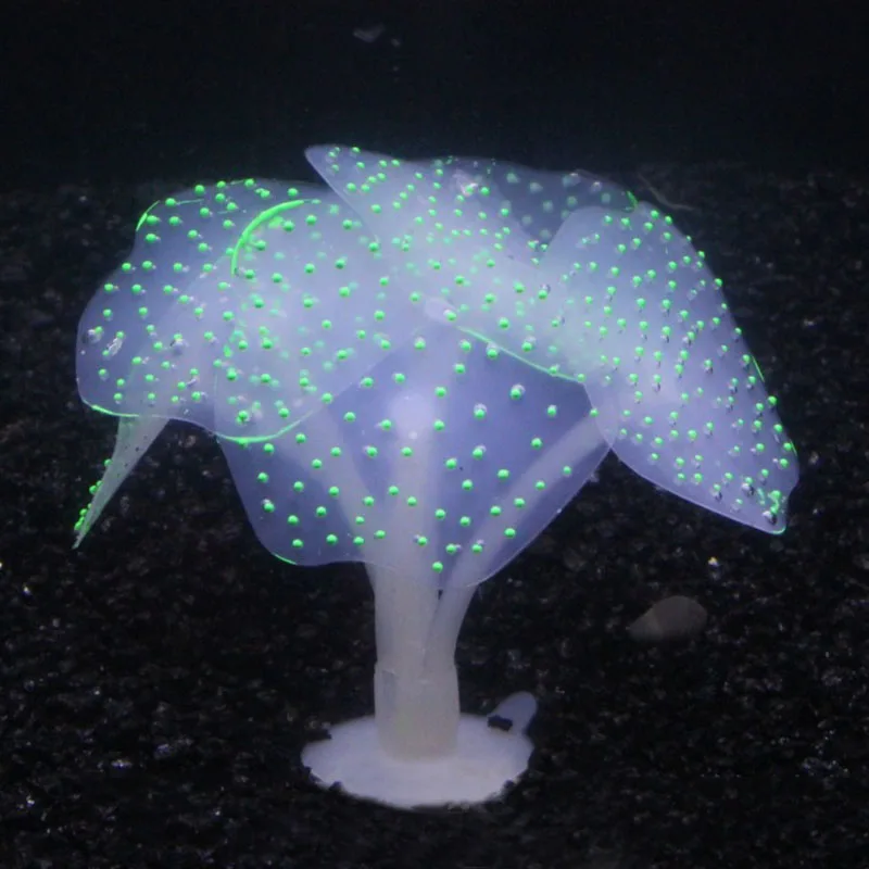 TB21GweuXXXXXaPXpXXXXXXXXXX_!!449070240