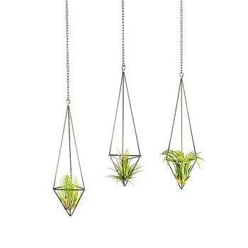 

3 Pack Hanging Air Plant Holder for Tillandsia Display Geometric Planter with Chains Home Decor for Air Plants Bronze