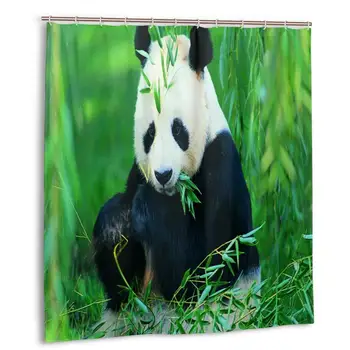 

Giant Pandas Shower Curtain with Hooks bathroom Waterproof Polyester Fabric