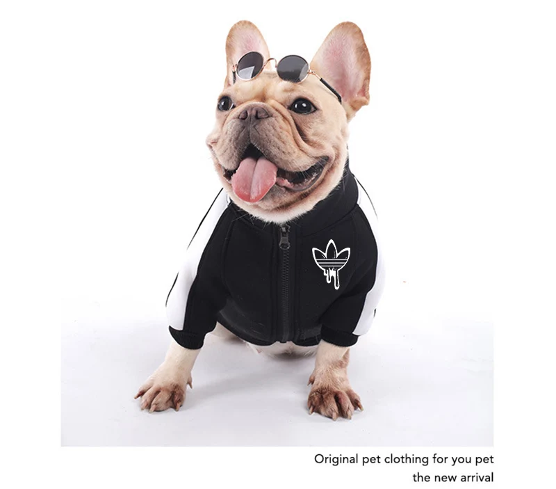 AAGLVF}W`391LX43@PEEFGT