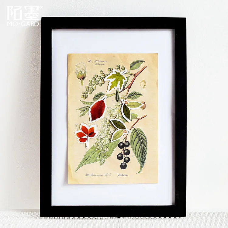 10039448516_1057887383