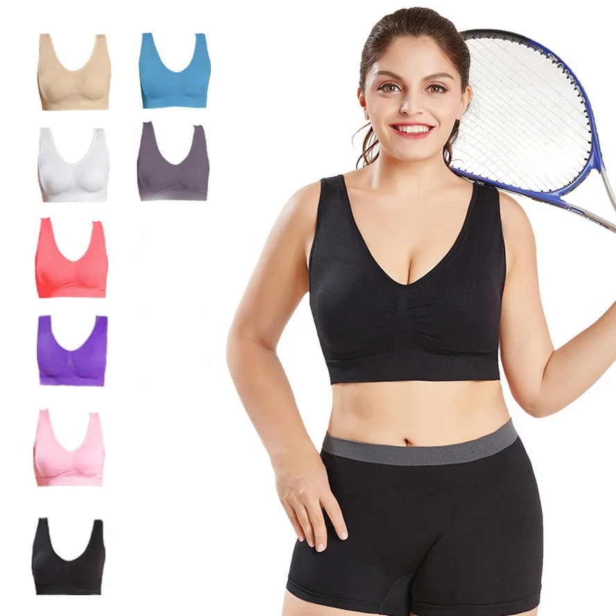 sports bra extra large