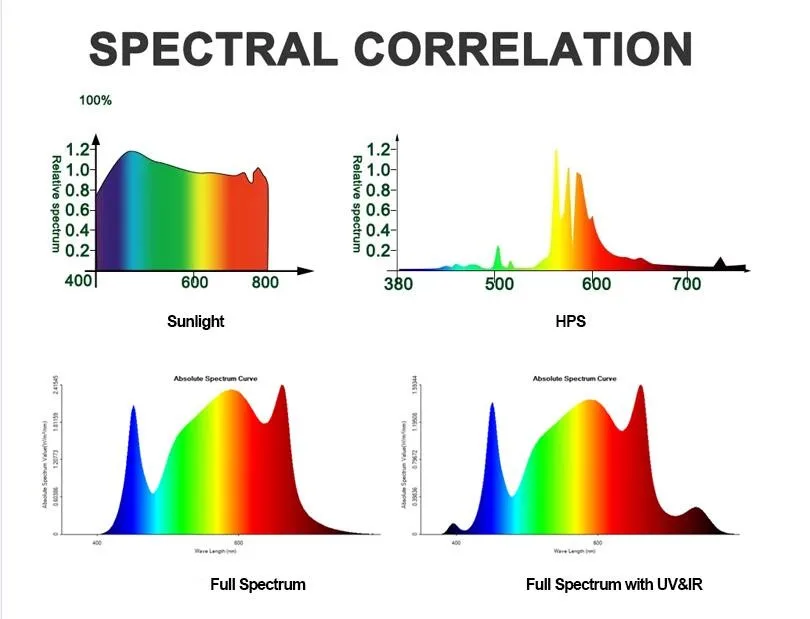 QQ截图20191117171749_副本