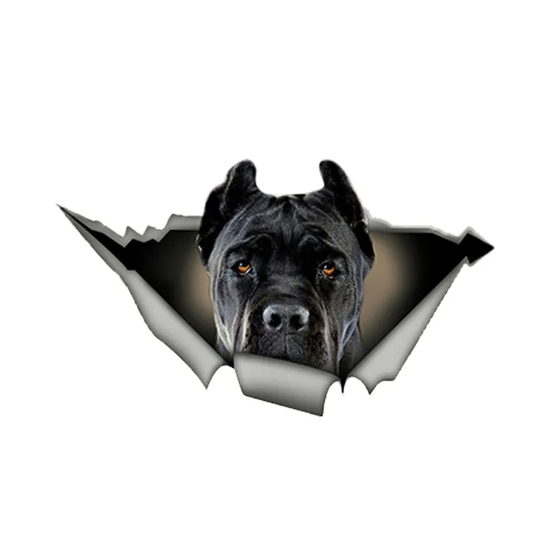 

Hot Cute Pet Dog Car Stickers Black Cane Corso 3D Torn Metal PVC Decal Waterproof Automobiles Styling Bumper PVC 13cm X 8cm