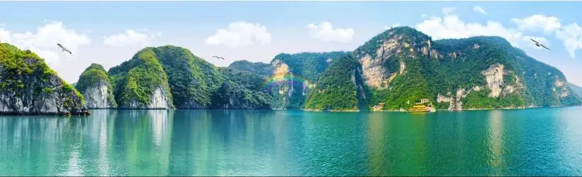 QQ截图20191014215615