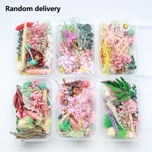 1 коробка настоящие сухие цветы сухие растения для ароматерапии свеча эпоксидная смола кулон ожерелье ювелирные изделия Ремесло, свадьба сушеный цветок