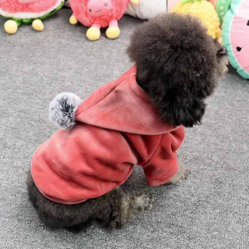 

Winter Pet Dog Hoodies Coat Clothes For Small Dog Coat Jacket Yorkie Chihuahua Puppy Warm 2-Legged Dog Clothing