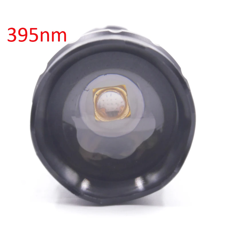 Zoom 501B 395nm