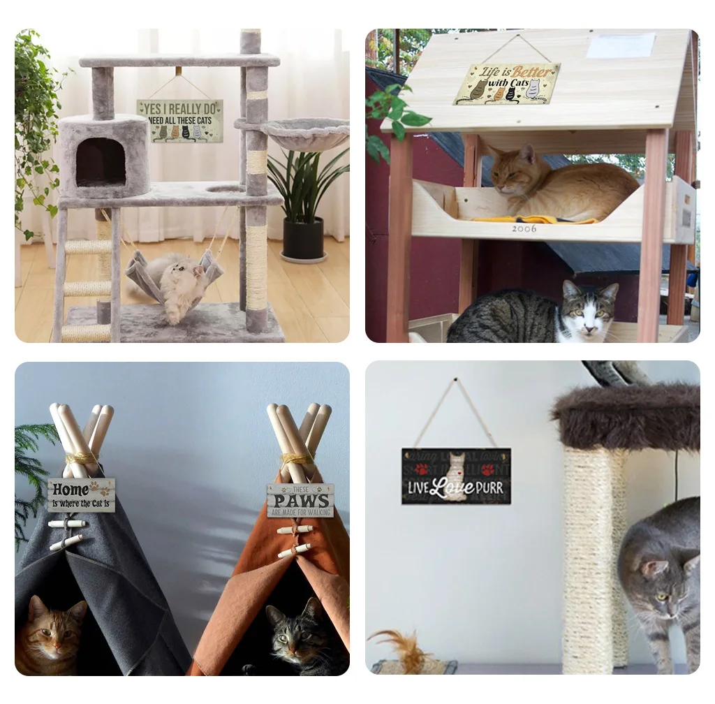 H7d0f70839fd447e0a7e90b8755ed44152.jpg?width=1024&height=1008&hash=2032