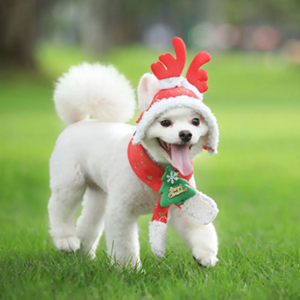 Собачий шарф для питомца, шапка, съемная, зимняя, теплая, для праздника, Рождества, украшения, милые домашние собаки, шапка