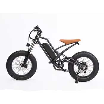 Traveling electric assisted bicycle 48v 750w motor 624 wh 1
