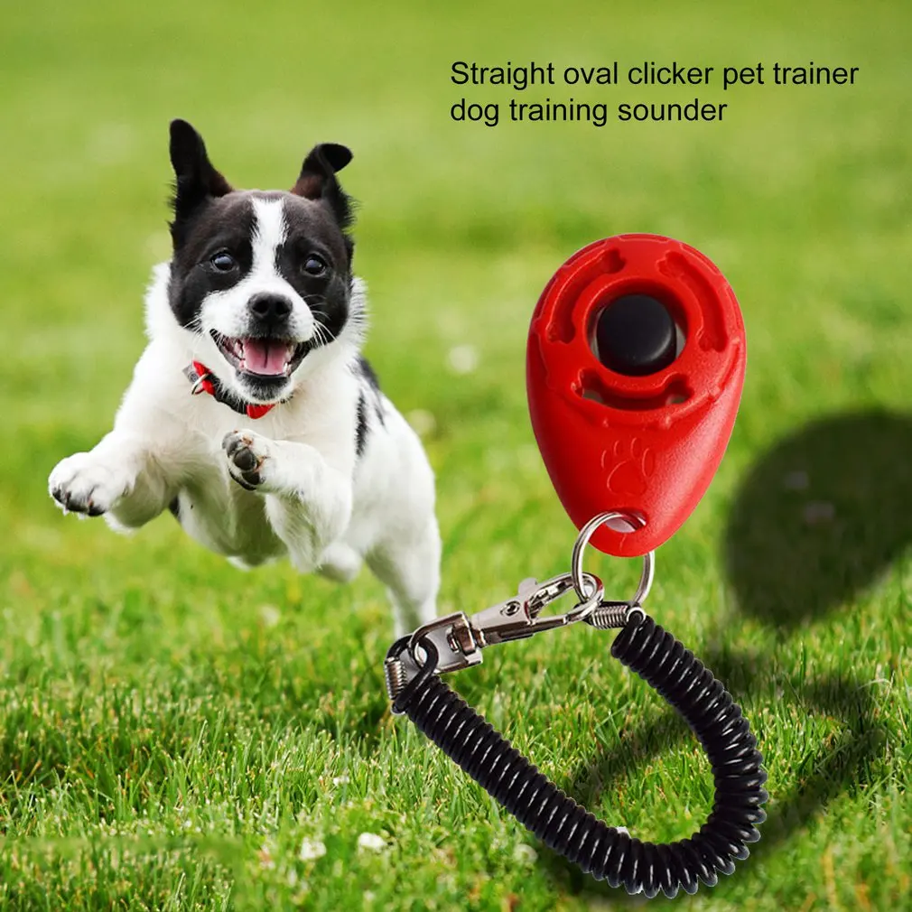 Oval Singer Clicker Pet Trainer Training Dog Singer Training Dog Pet Dog Training Ring Pet Trainer Training Dog