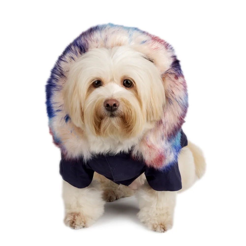fur collar dog clothes (3)