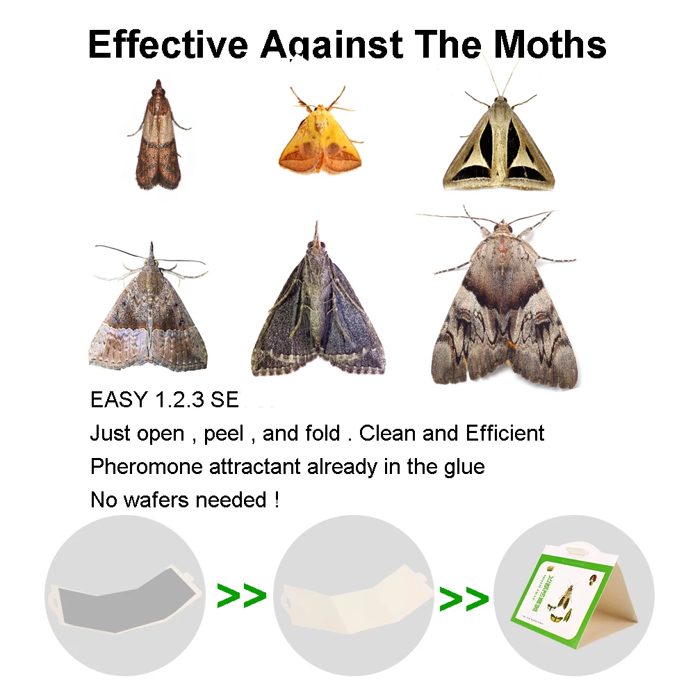 https://ae01.alicdn.com/kf/H7d169aa181a24e31b3900ba0b4d1212d6/5pcs-Sticky-Glue-Trap-Moths-Pheromone-Killer-Moth-Pheromone-Trap-Clothes-Pantry-Food-Pest-Reject-Fly.jpg