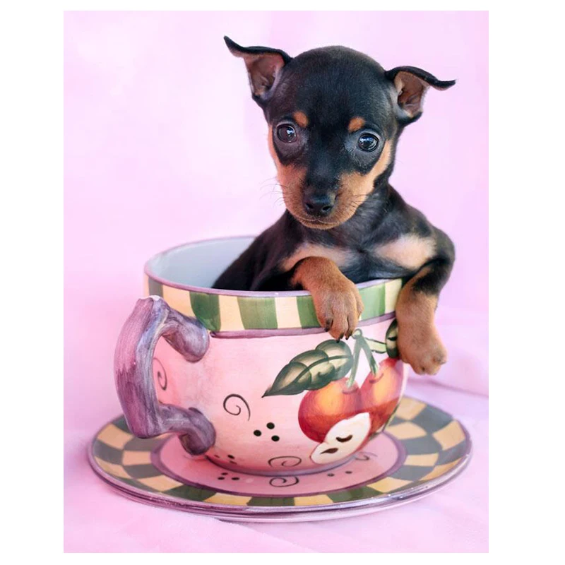 5D Diy алмазная живопись миниатюрная картина pinscher с собакой из страз полная