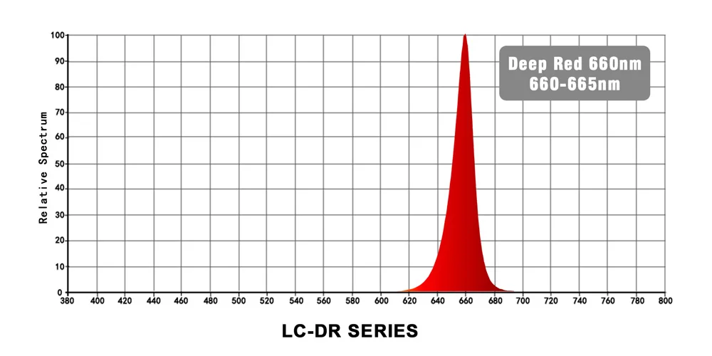 DR