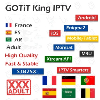 

GOTIT King French Subscription Spain Portugal Francais Arabic Adult XXX Nordic Subscription for M3U Enigma2 Android