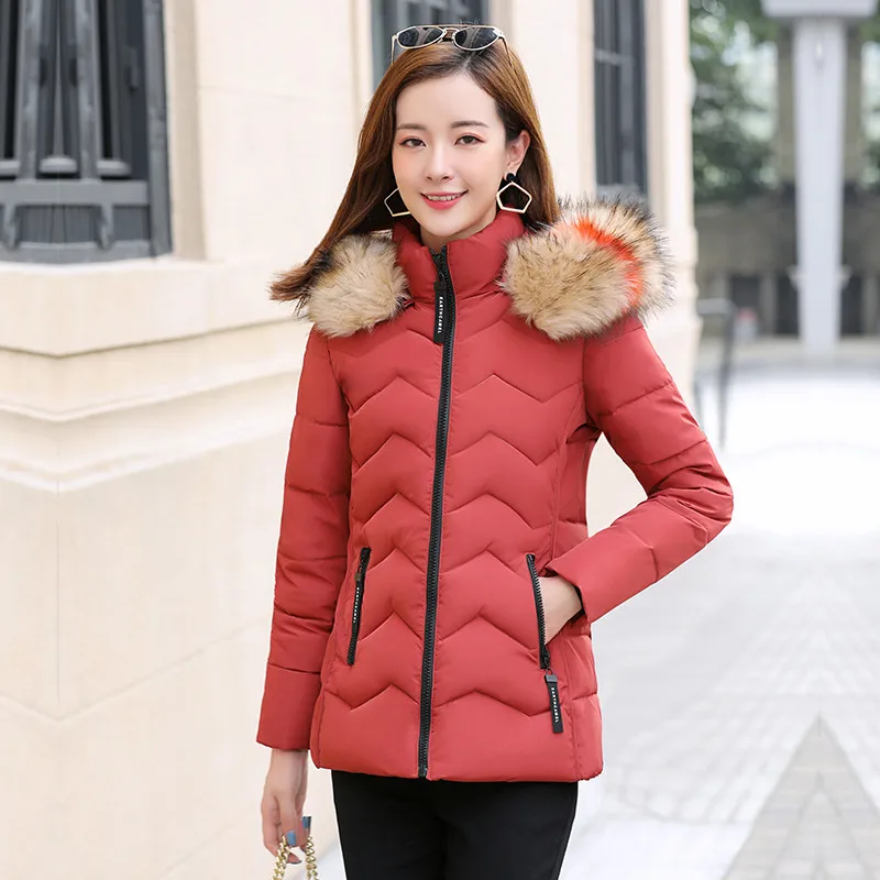 

New Style down Jacket Cotton-padded Clothes Women's Mid-length Large Fur Collar Waist Hugging Slimming Korean-style Short-height