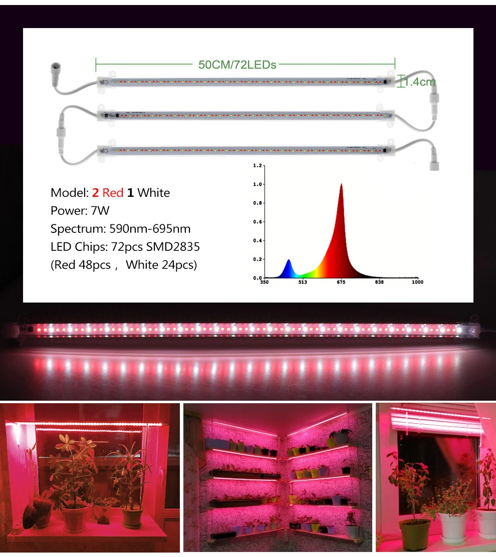 Luz, Conector À Prova D' Água, Phyto