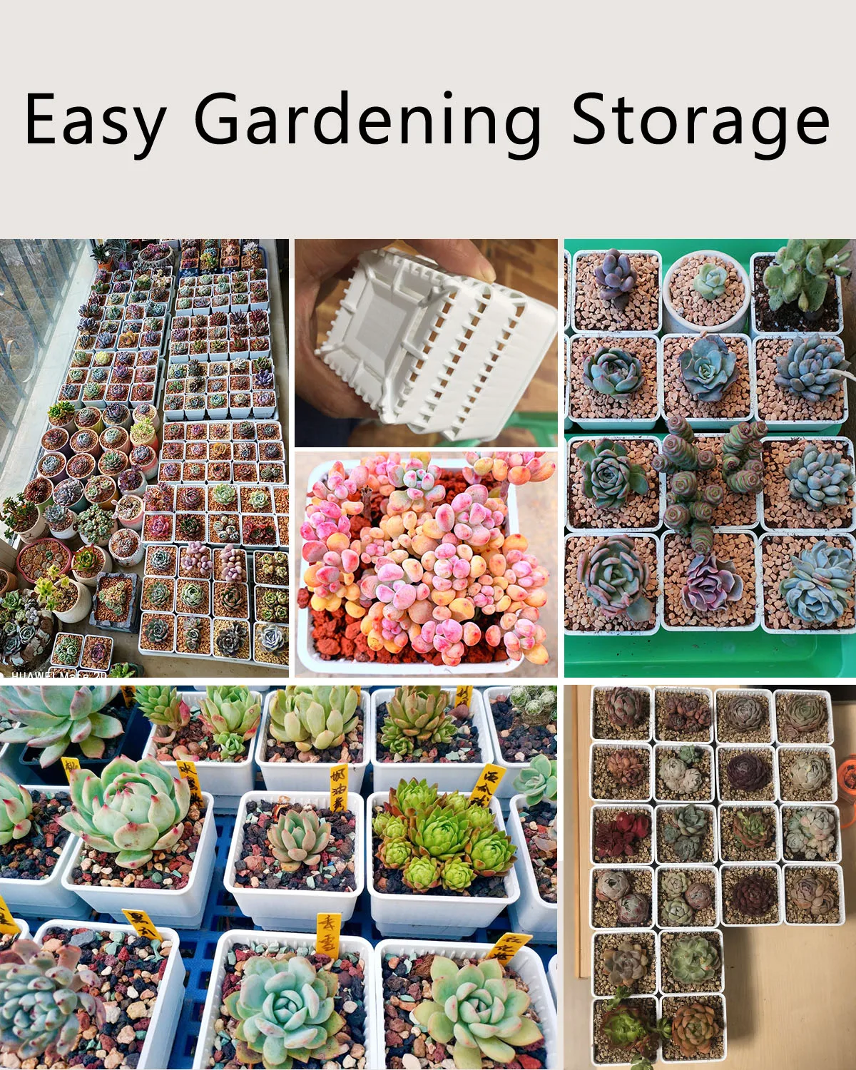 Meshpot Square Plastic Succulents Planter Pots With Tray Set Nursery Pot Cactus Plant Pot Garden Flower Pot Plant Pot