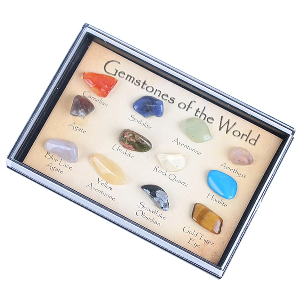 Kids Earth Science Toy Ro & Mineral Collection (15pcs) In A Display Case