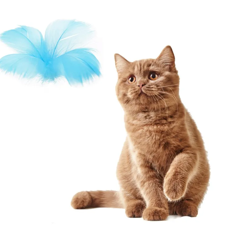 Pet Cat Натуральная кошачья мята мяч для игры игрушки забавные интерактивные перья погоня игрушки полезный, безопасный угощение продукты для котенка