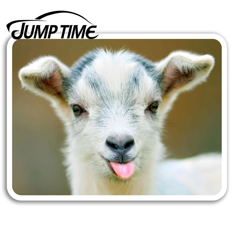 Autocollants En Vinyle Saut De Temps Pour Bebe Chevre Etiquette De Bagage Pour Ordinateur Portable Reservoir De Fenetre Decoration De Voiture Etanche Aliexpress