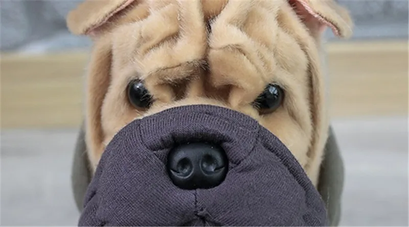 13-1155X36_看图王