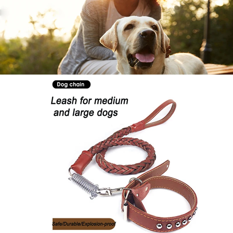 

Pet leash Dog cowhide spring leash Eight-strand braided dog leash collar medium and large dog leash